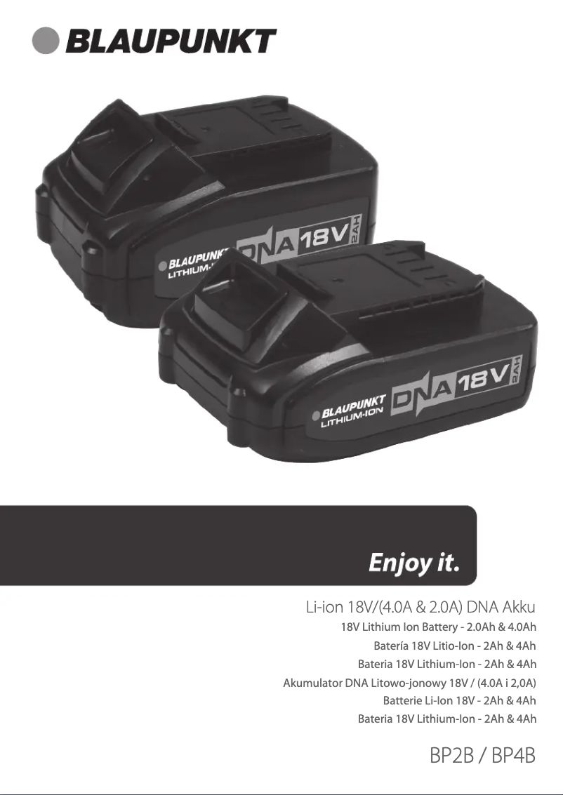 Page n°1 - Manuel utilisateur Blaupunkt BP4B