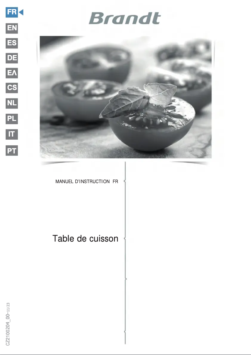 Image de la première page du manuel de l'appareil BPI1621UB