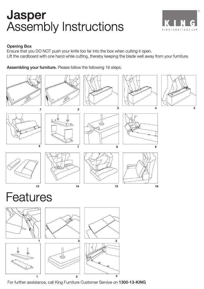 Page 1 de la notice Manuel utilisateur King Jasper