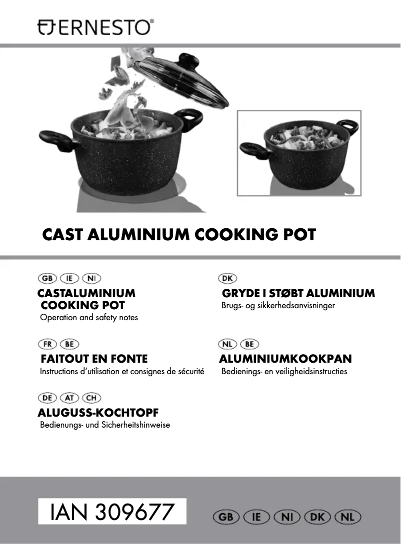Page 1 de la notice Manuel utilisateur Ernesto IAN 309677