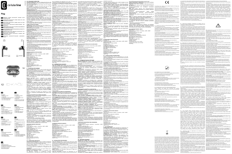 Image de la première page du manuel de l'appareil Flag