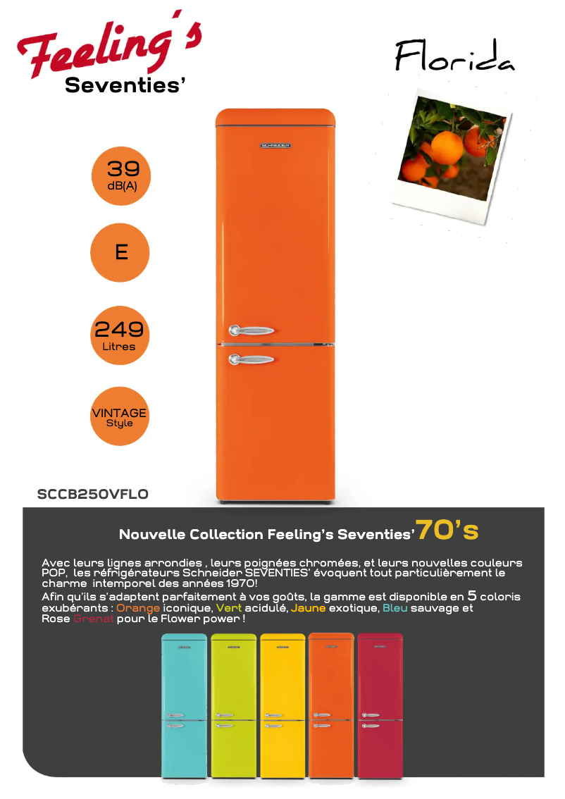 Page 1 de la notice Fiche technique Schneider SCCB250VFLO