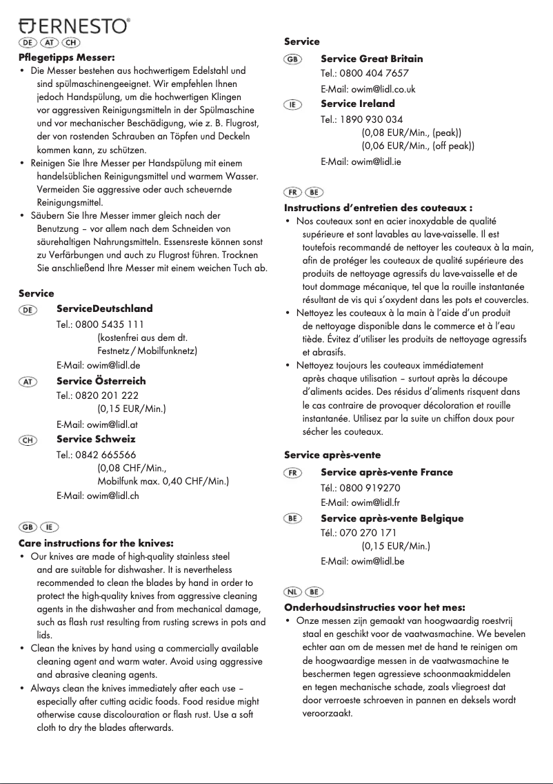 Page 1 de la notice Manuel utilisateur Ernesto HG05241