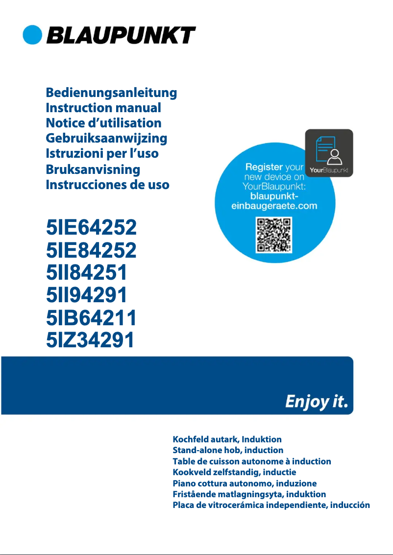 Página 1 del manual Guía de instalación Blaupunkt 5IE84252