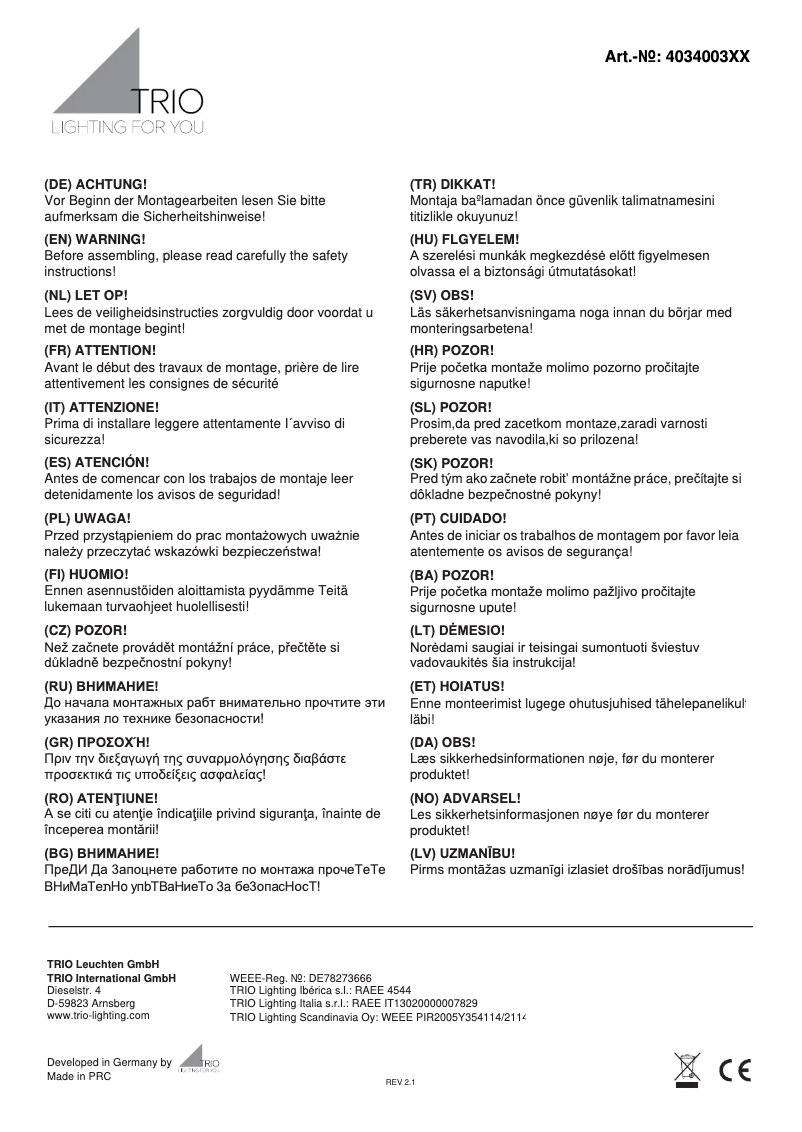Page 1 de la notice Manuel utilisateur Trio Lighting Lance 403400354