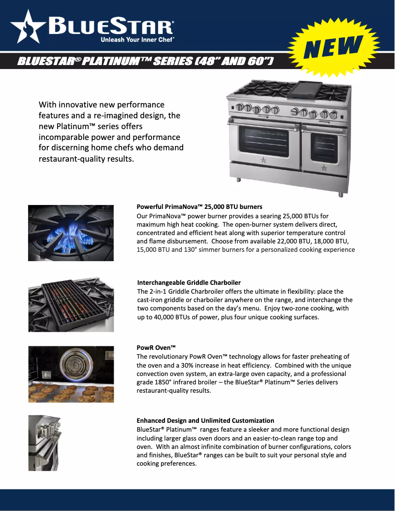 Página 1 del manual Ficha técnica BlueStar BSP488B