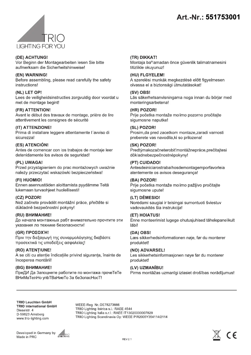 Page 1 de la notice Manuel utilisateur Trio Lighting Nector 551753001