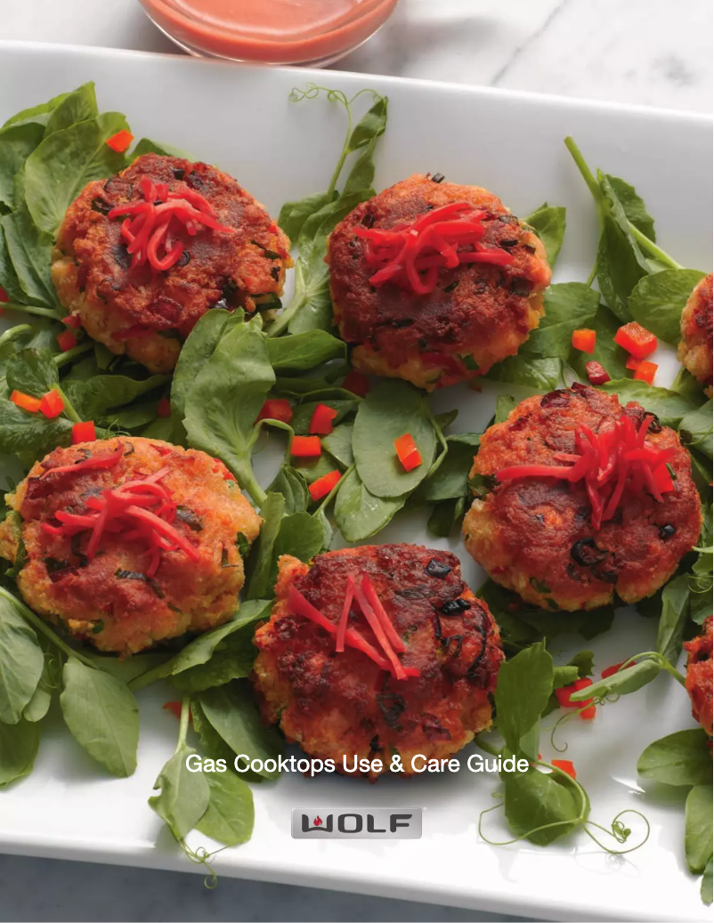 Page 1 de la notice Manuel d'utilisation et d'entretien Wolf CG304T