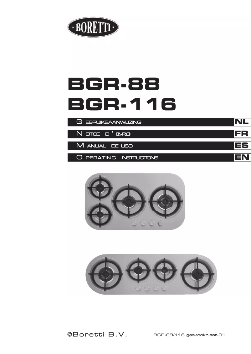 Page n°1 - Manuel utilisateur Boretti BGR-116