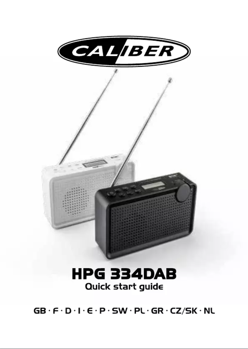 Image de la première page du manuel de l'appareil HPG334DAB