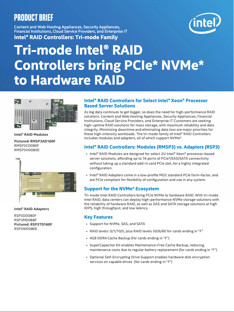 Page n°1 - Manuel utilisateur Intel RSP3TD160F
