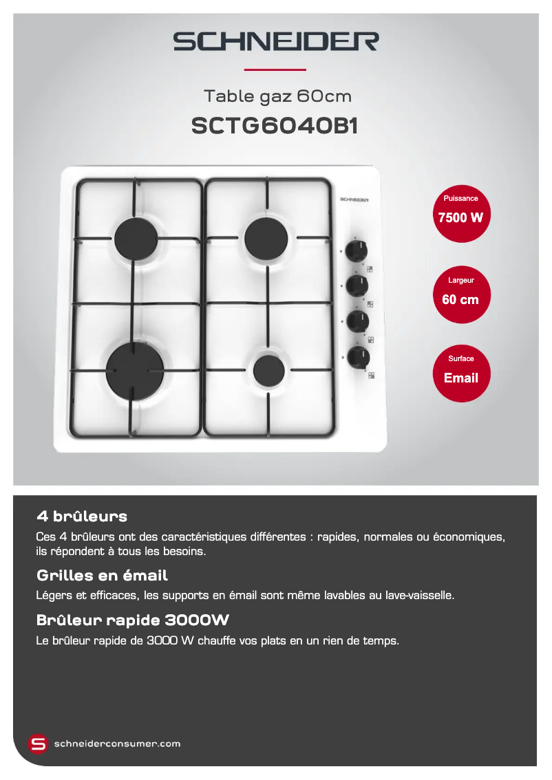 Page 1 de la notice Fiche technique Schneider SCTG6040B1
