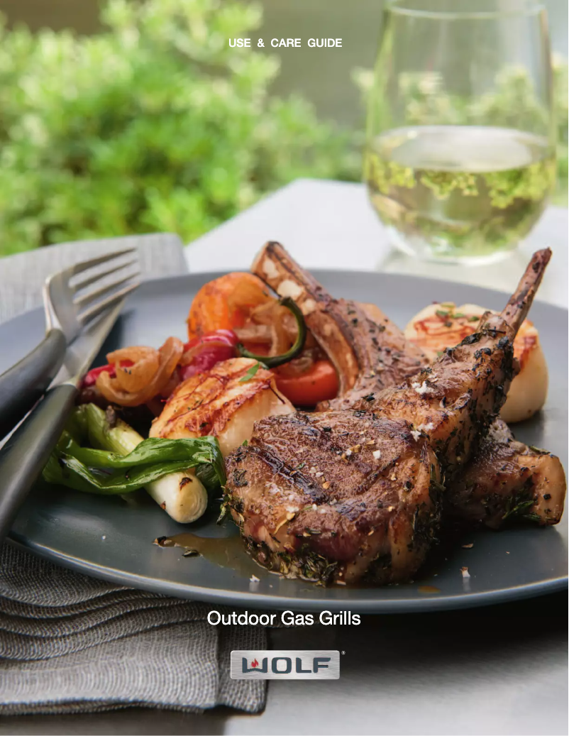 Image de la première page du manuel de l'appareil SB13LP