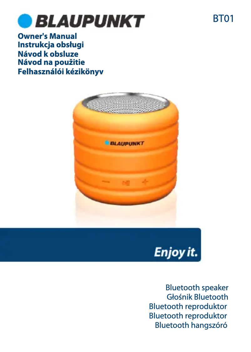 Page n°1 - Manuel utilisateur Blaupunkt BT01OR