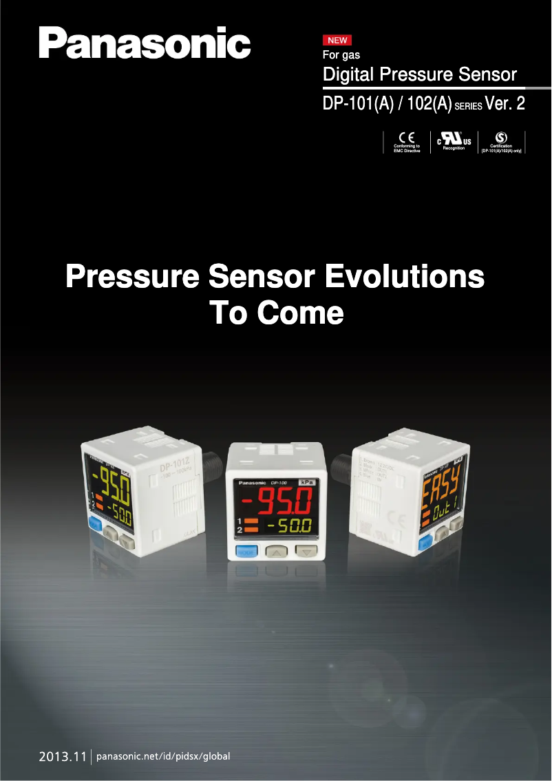 Image de la première page du manuel de l'appareil DP-101-M-P