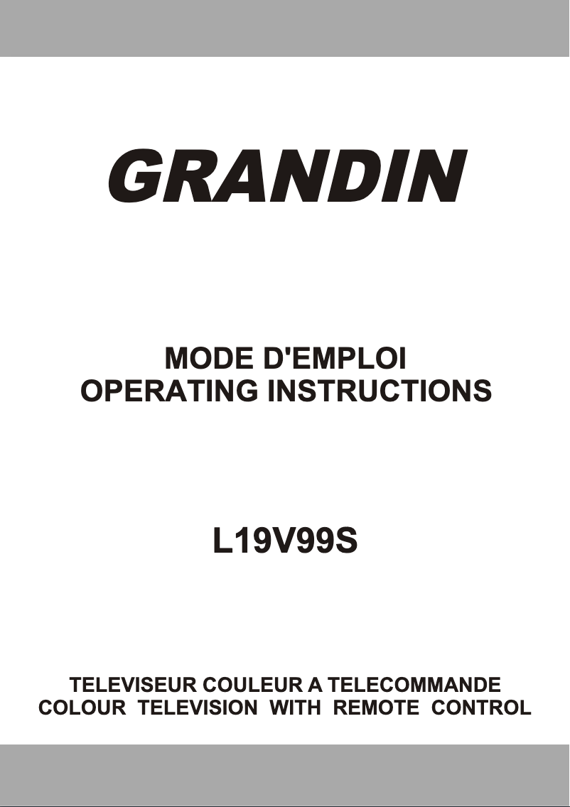 Image de la première page du manuel de l'appareil L19V99S