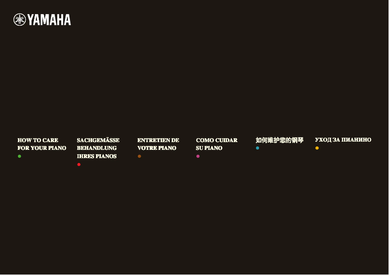 Page n°1 - Manuel utilisateur Yamaha A1