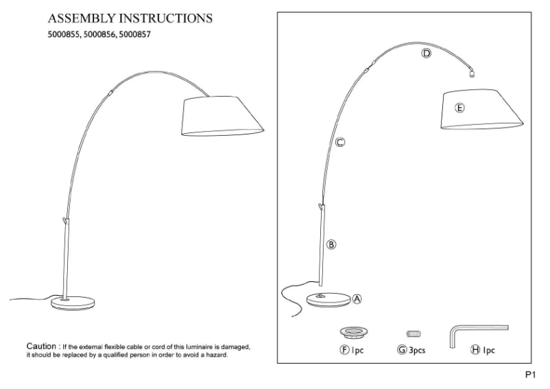 Page 1 de la notice Manuel utilisateur Zuiver Arc
