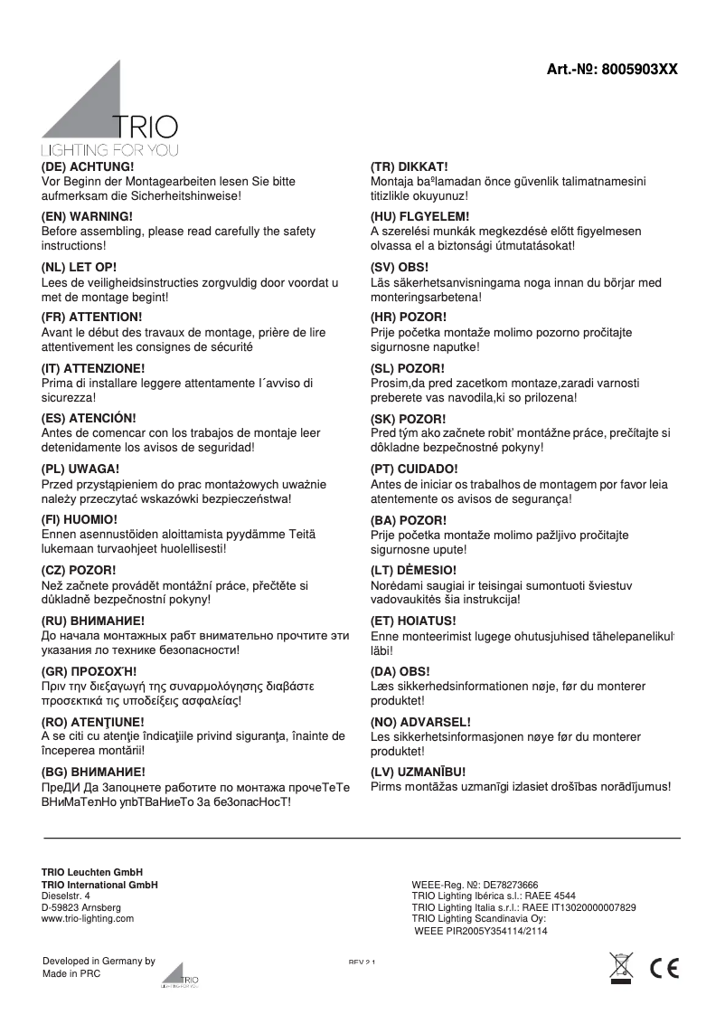 Page 1 de la notice Manuel utilisateur Trio Lighting Carl 800590304