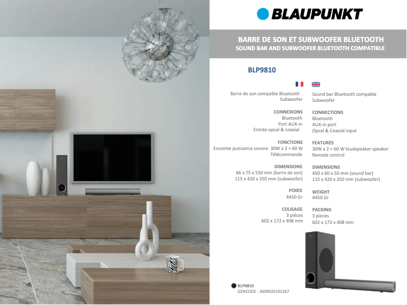 Page n°1 - Manuel utilisateur Blaupunkt BLP9810