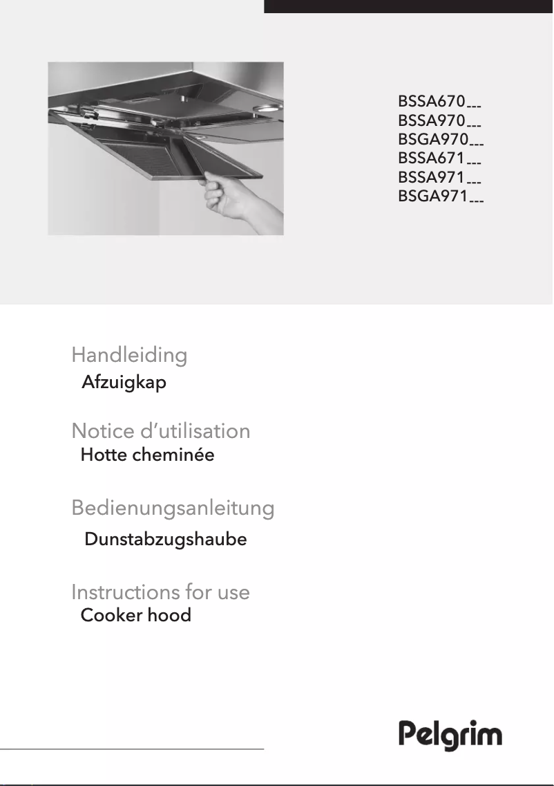 Page 1 de la notice Manuel utilisateur Pelgrim BSGA971ANT
