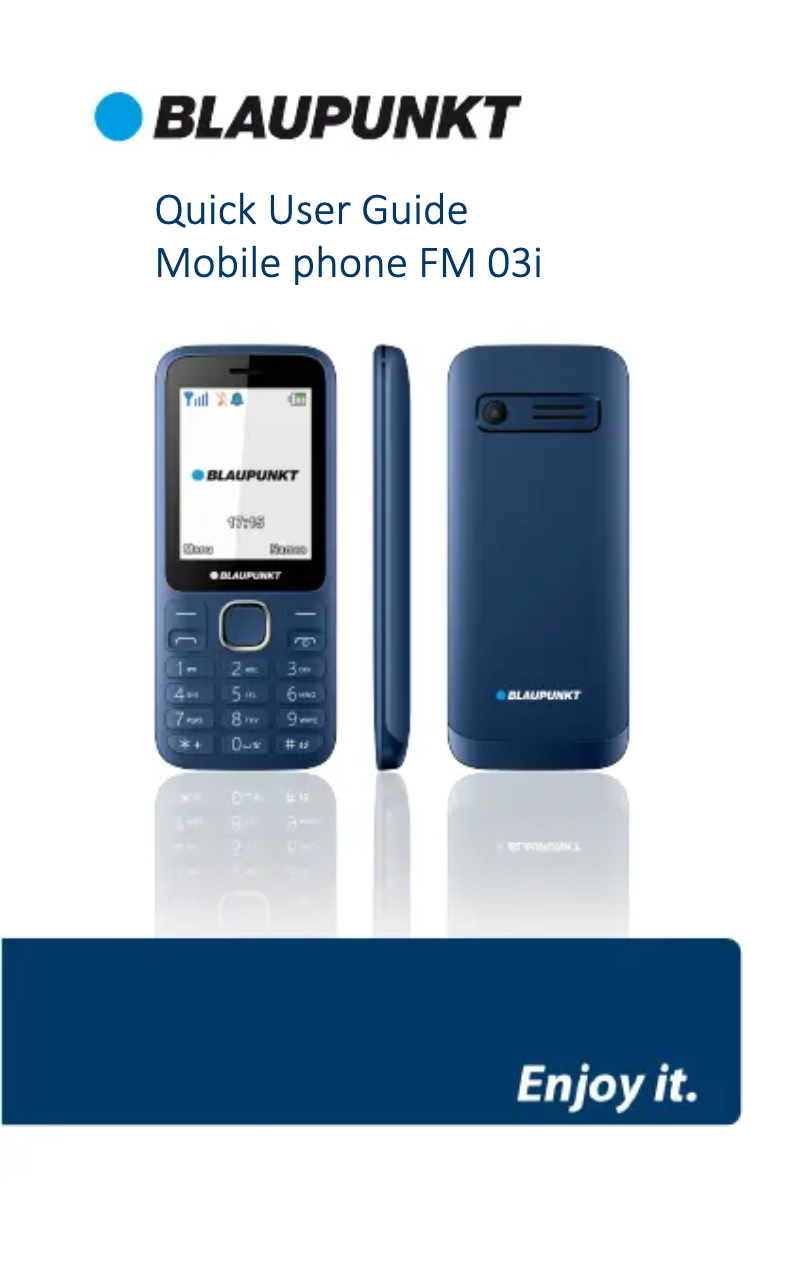 Page 1 de la notice Manuel utilisateur Blaupunkt FM 03i