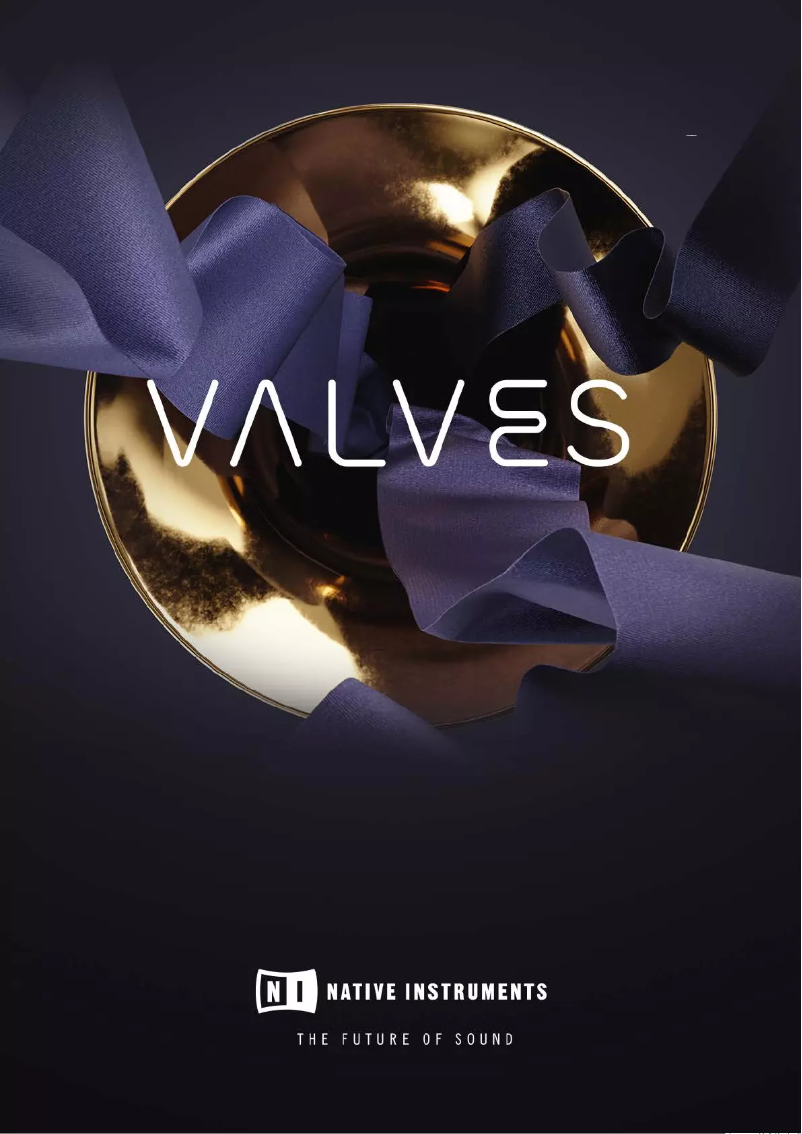Page 1 de la notice Manuel utilisateur Native Instruments Valves