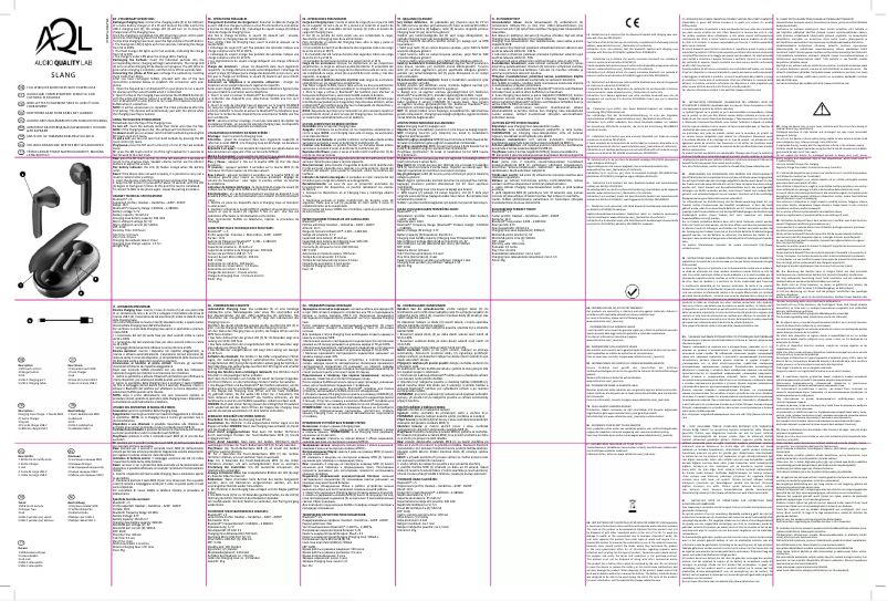 Page 1 de la notice Manuel utilisateur AQL Slang