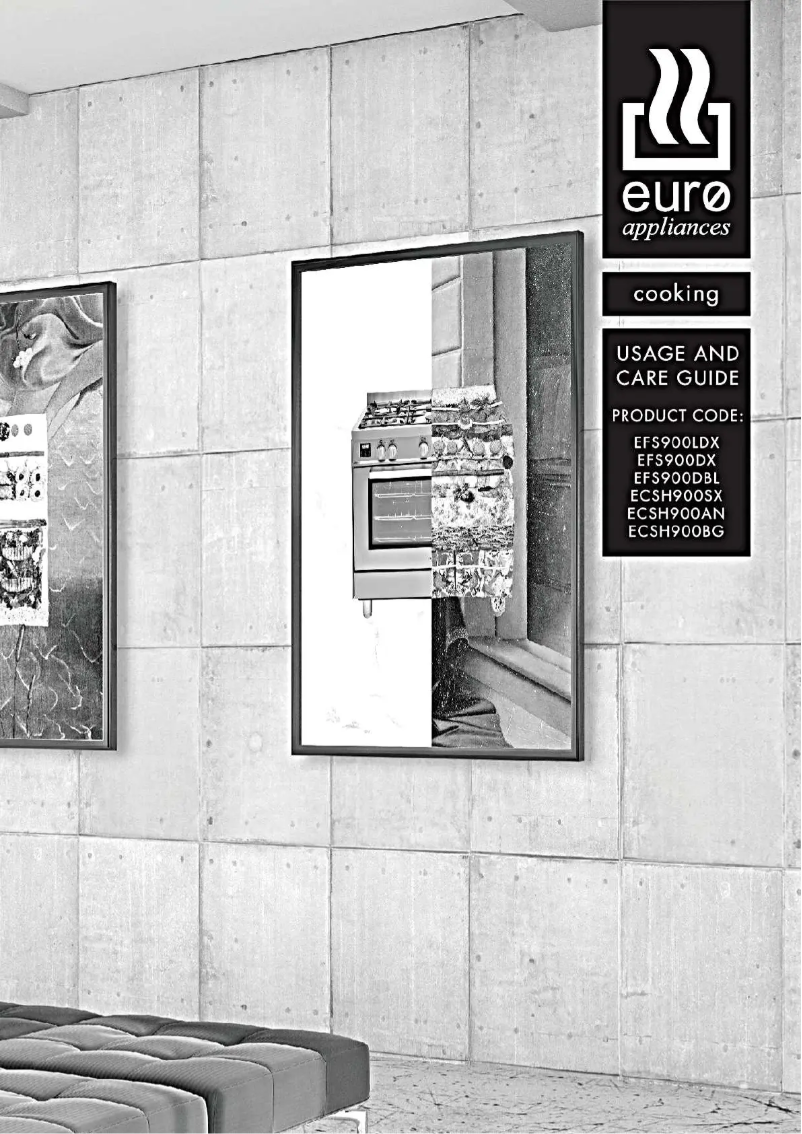 Image de la première page du manuel de l'appareil EFS900LDX