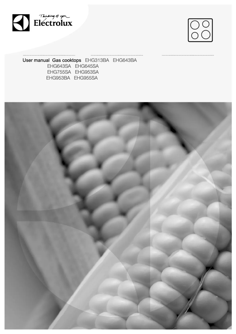 Page 1 de la notice Manuel utilisateur Electrolux EHG955SA