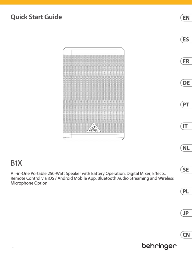 Page 1 de la notice Manuel utilisateur Behringer B1X