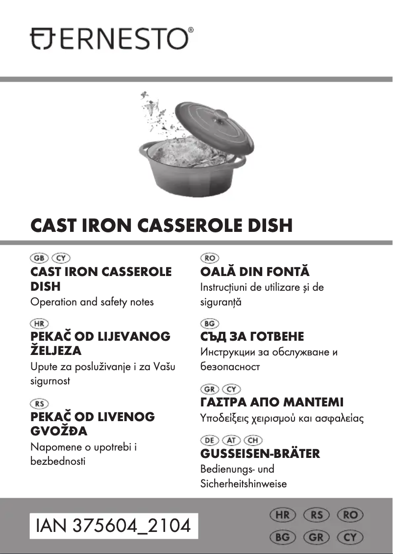 Page n°1 - Manuel utilisateur Ernesto IAN 375604