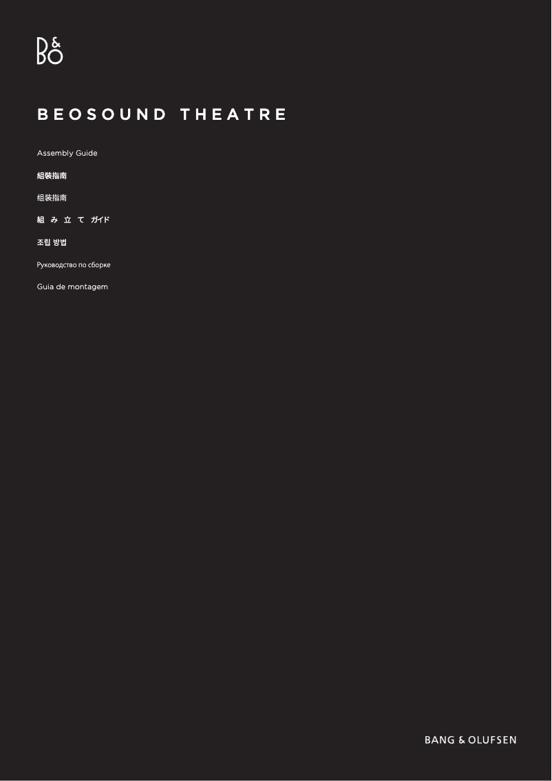 Página 1 del manual Instrucciones / montaje Bang & Olufsen Beovision Theatre