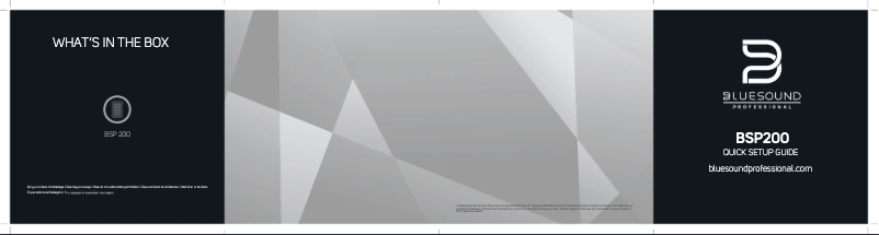 Page n°1 - Guide de démarrage rapide Bluesound BSP200
