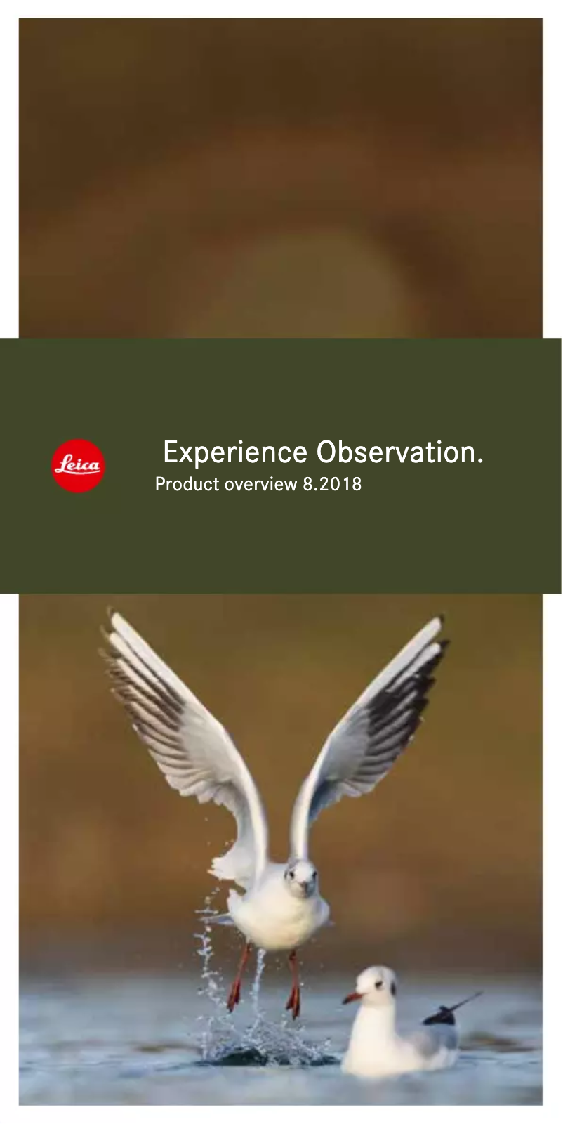 Image de la première page du manuel de l'appareil Noctivid 10x42