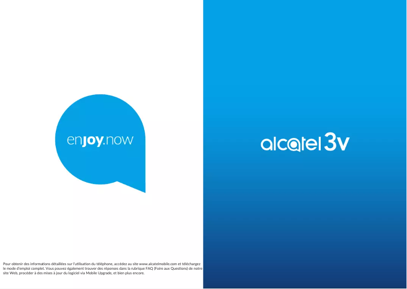 Image de la première page du manuel de l'appareil 3V