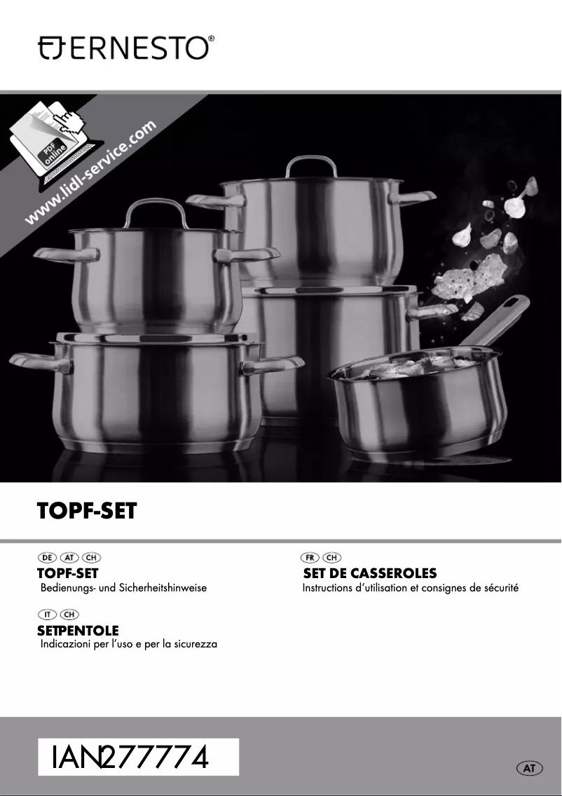 Page n°1 - Manuel utilisateur Ernesto IAN 277774