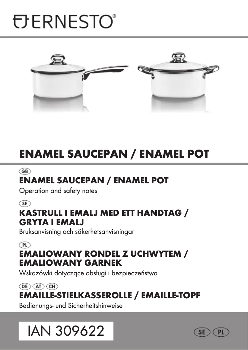 Page 1 de la notice Manuel utilisateur Ernesto IAN 309622