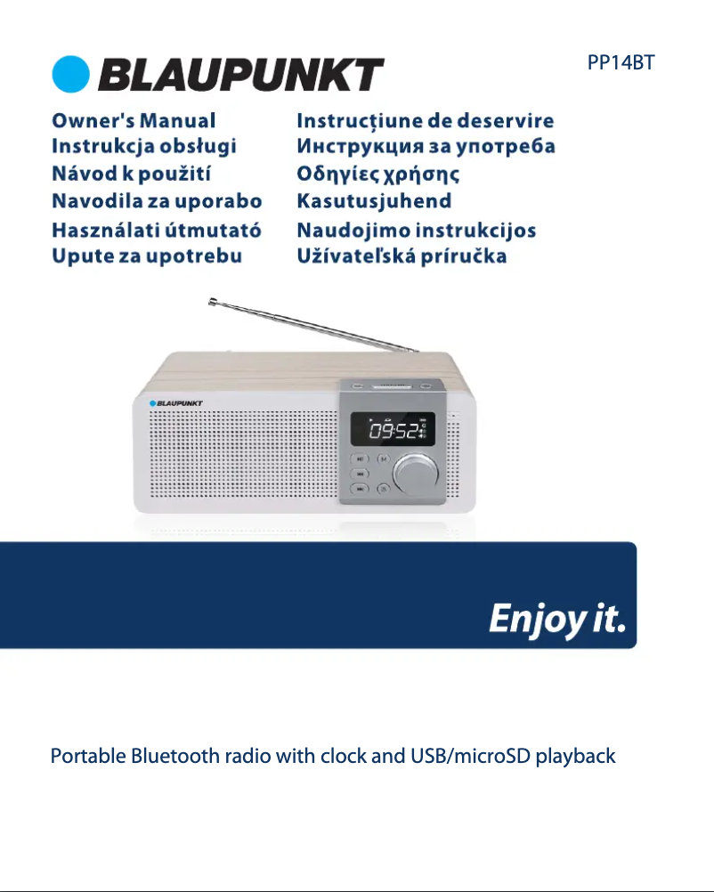 Page 1 de la notice Manuel utilisateur Blaupunkt PP14BT