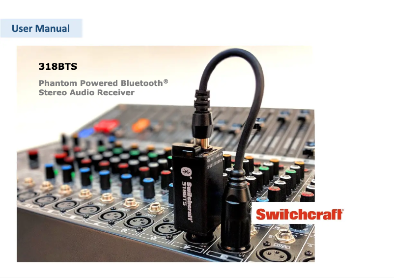 Image de la première page du manuel de l'appareil 318BTS