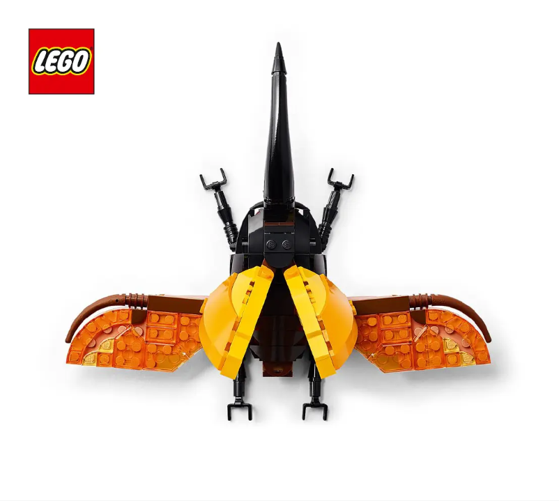 Page 1 de la notice Manuel utilisateur Lego Ideas 21342