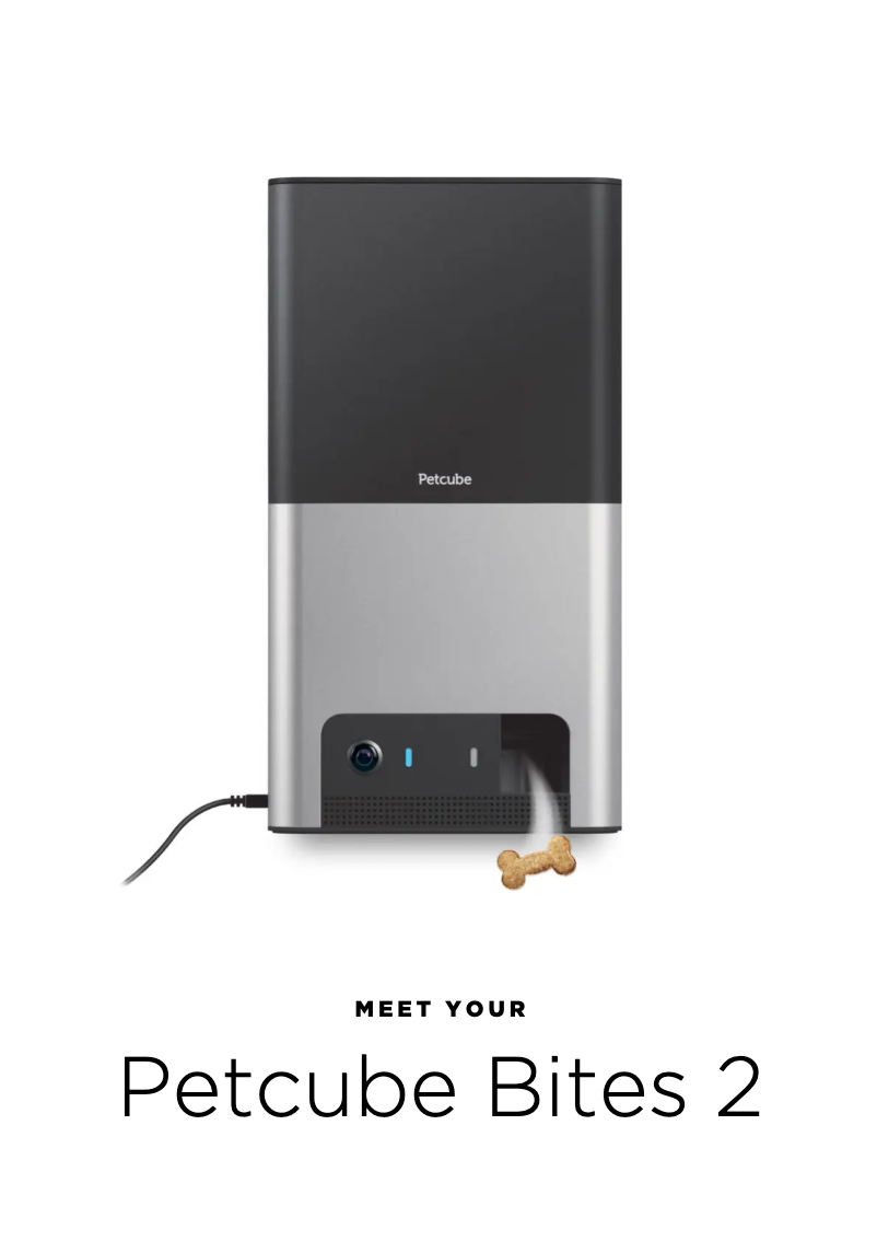 Image de la première page du manuel de l'appareil Bites 2