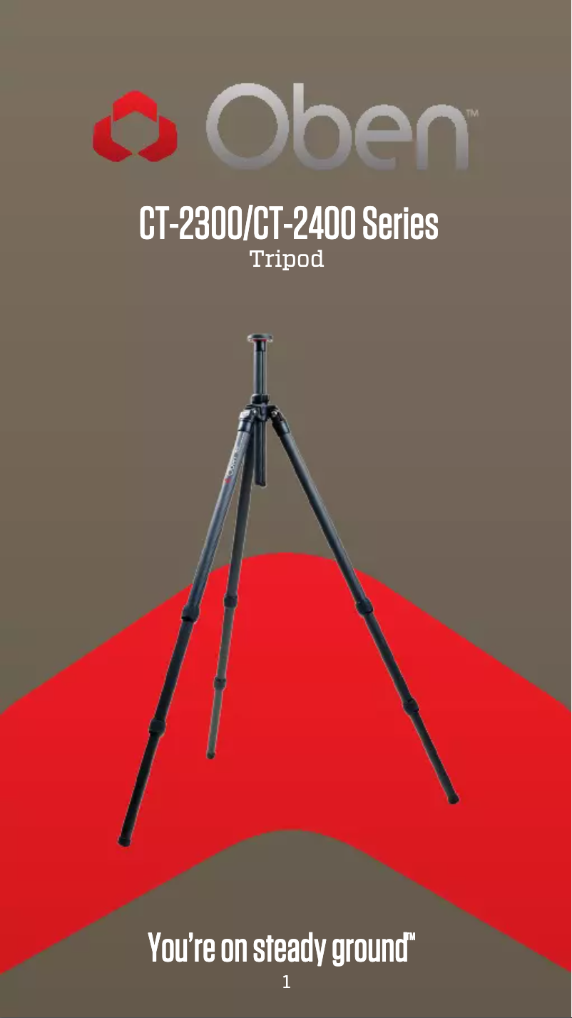 Image de la première page du manuel de l'appareil CT-2431