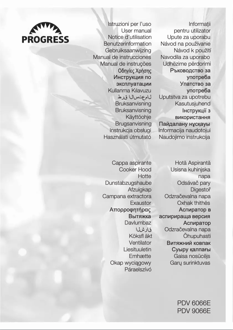 Image de la première page du manuel de l'appareil PDV9066E