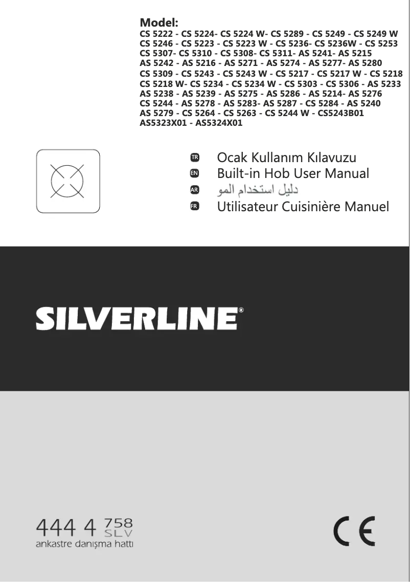 Page 1 de la notice Manuel utilisateur Silverline AS 5215