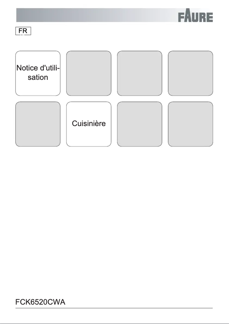Page n°1 - Manuel utilisateur Faure FCK6520CWA
