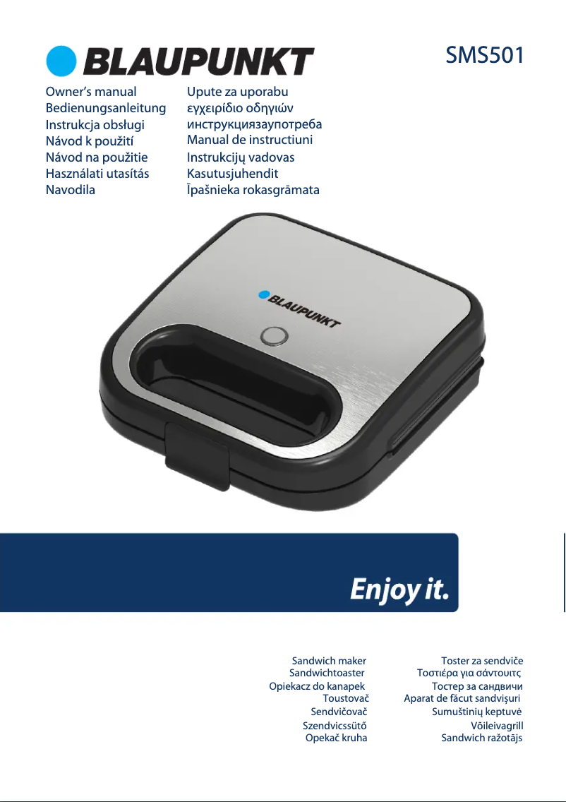 Page 1 de la notice Manuel utilisateur Blaupunkt SMS501