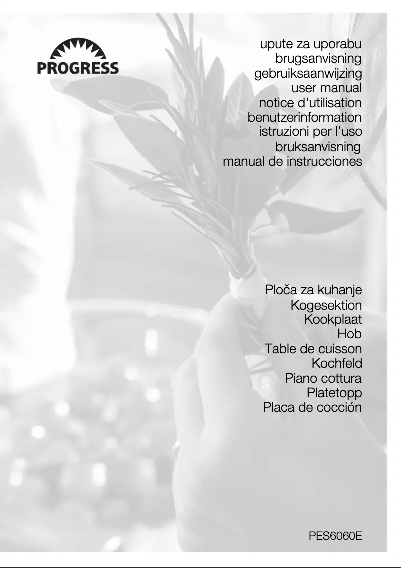 Page n°1 - Manuel utilisateur Progress PES6060E
