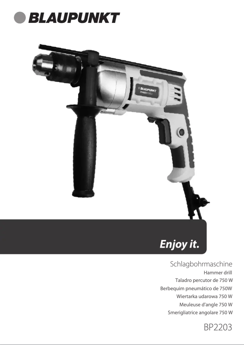 Page n°1 - Manuel utilisateur Blaupunkt BP2203