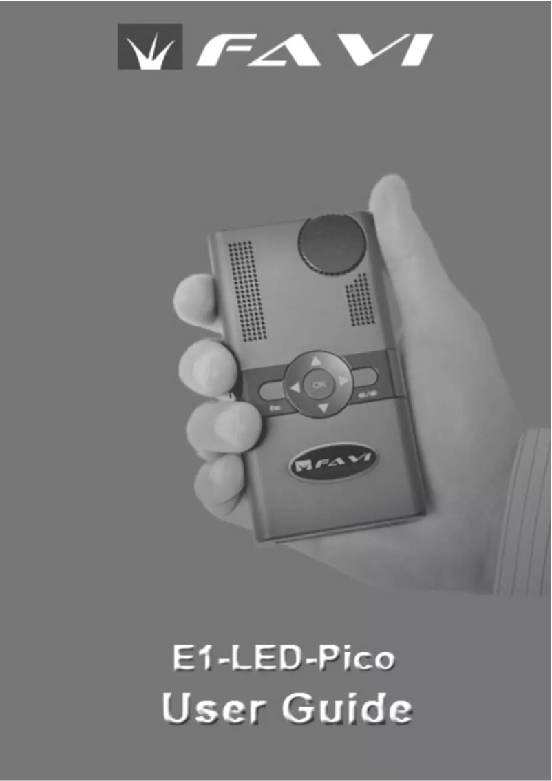 Page n°1 - Manuel utilisateur FAVI E1-LED-Pico